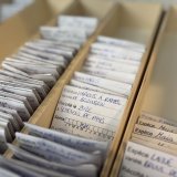 Les graines apportées à St-Maurice sont déposées dans un sachet en papier et classées par ordre alphabétique